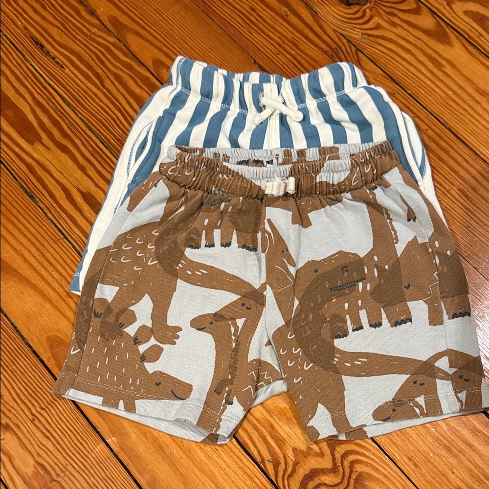Zara Short Bundle